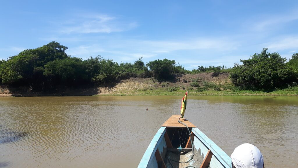 Navigazione sul rio Yacuma e avvistamento del delfino rosa
